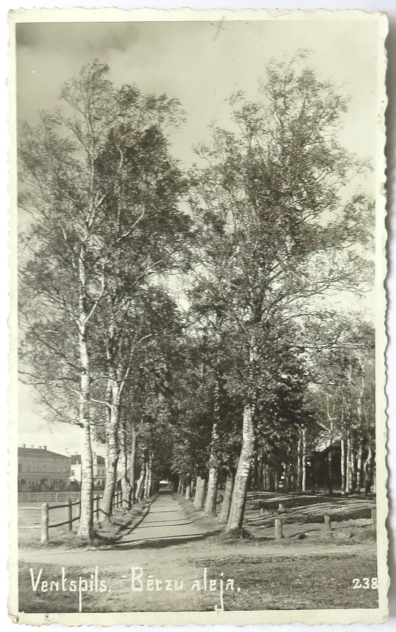 lot picture