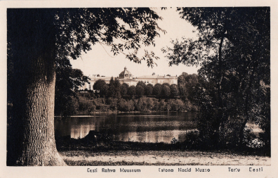 lot picture
