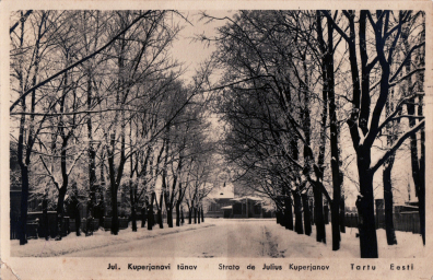 lot picture