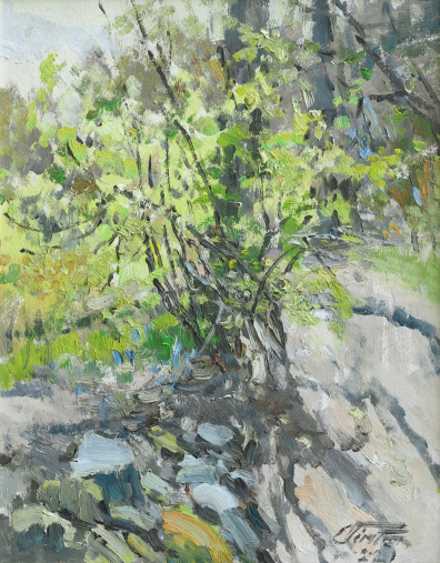 lot picture