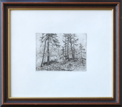 lot picture