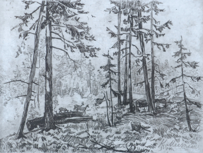 lot picture