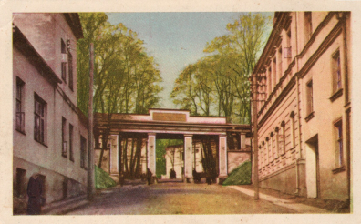 lot picture