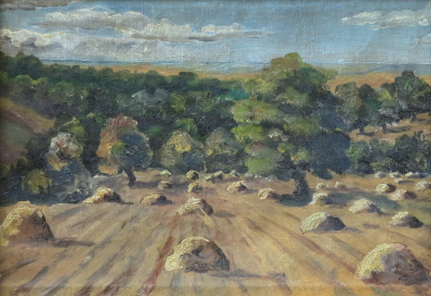 lot picture