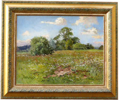 lot picture
