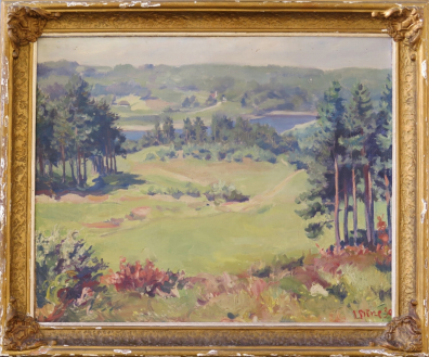 lot picture