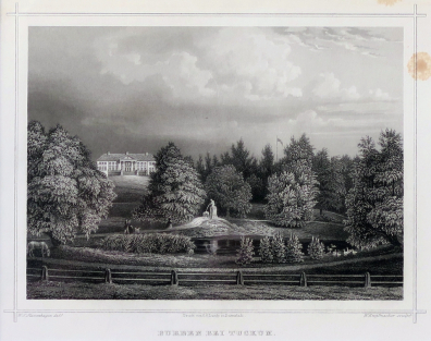 lot picture