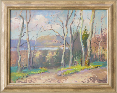 lot picture