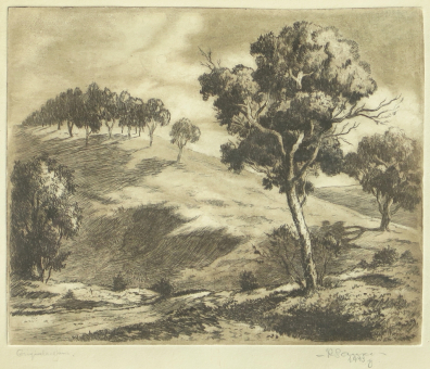 lot picture