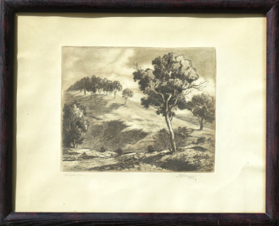 lot picture
