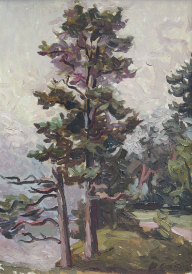 lot picture