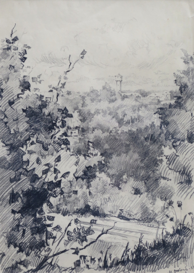 lot picture