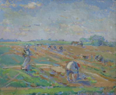 lot picture